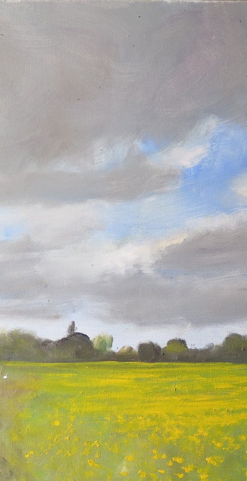 Water Meadow by Malcolm Ludvigsen
