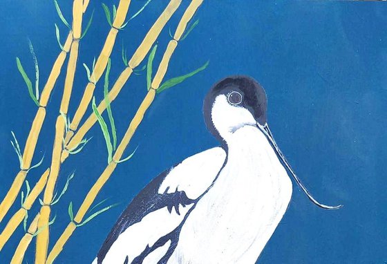 Avocet by Bamboo