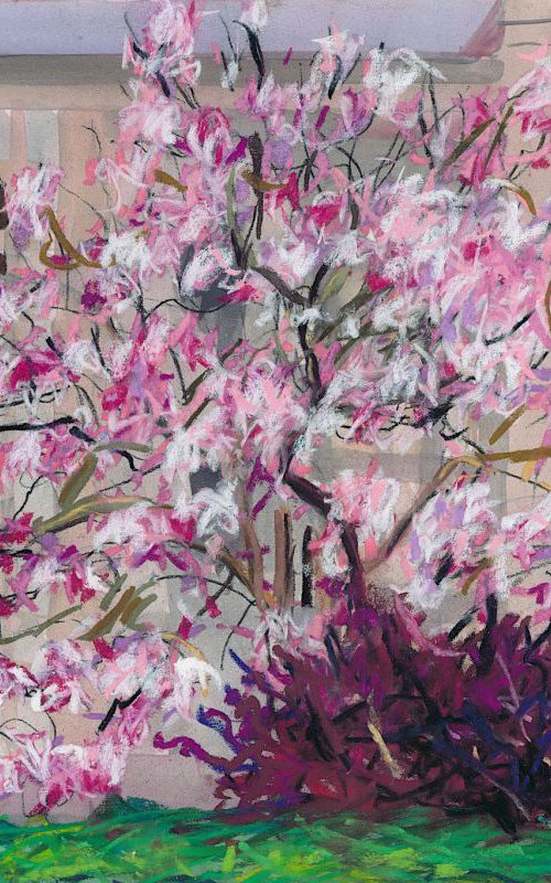 Magnolia & Barberry by Christina M Plichta