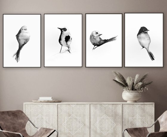 Birds