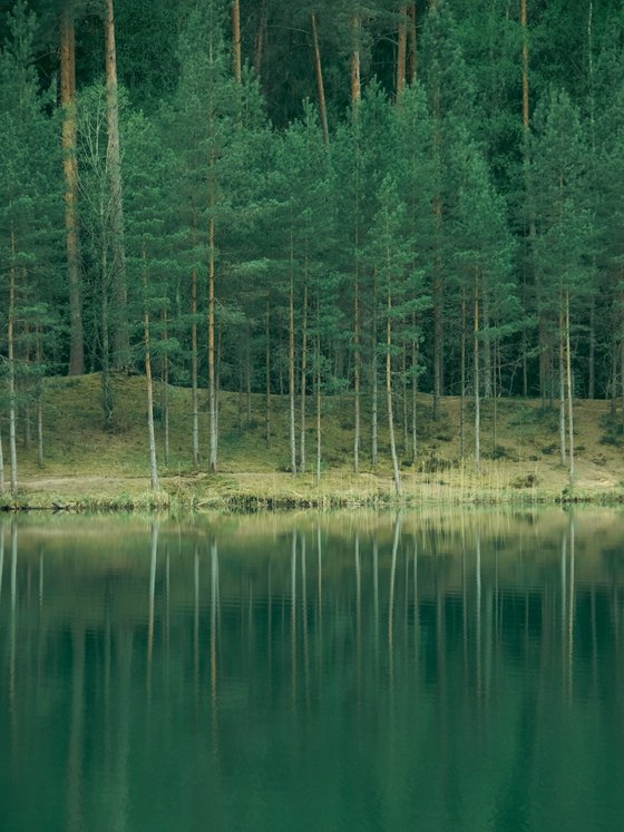 The Green Reflection