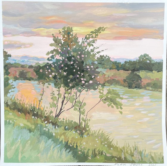 Blooming tree along the channel du Midi