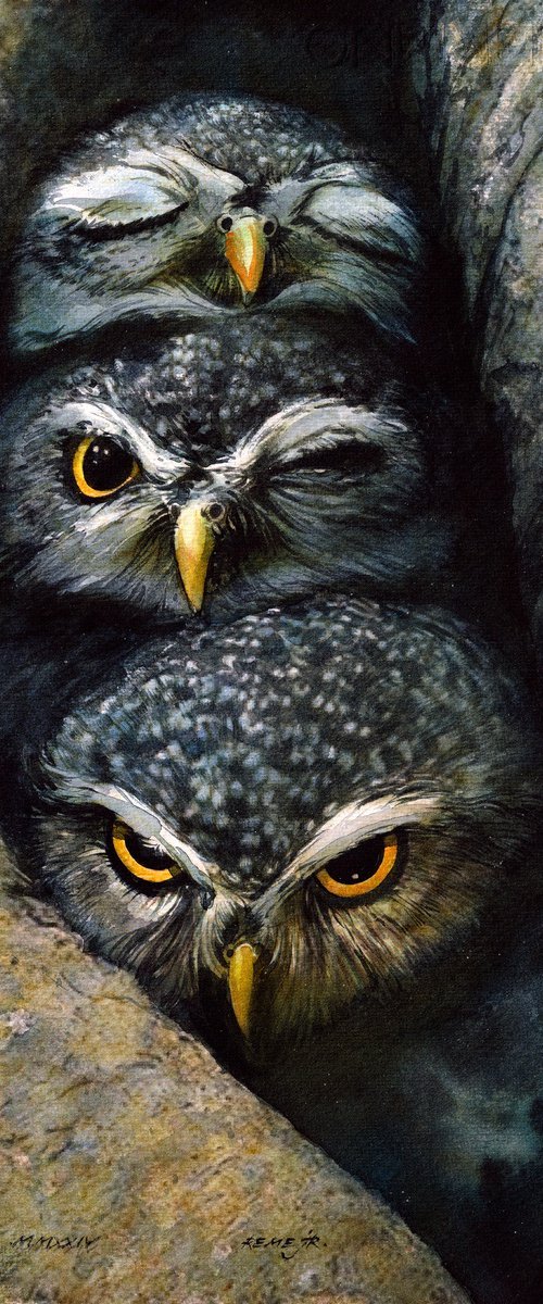 Bird CCXLXIII - Little Owls by REME Jr.