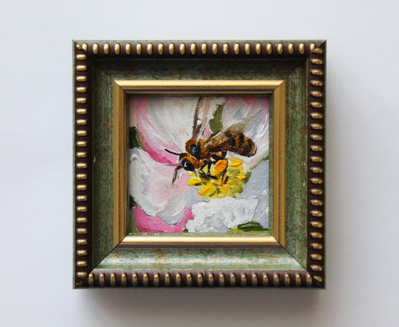 Tiny Bee on Spring Blossom