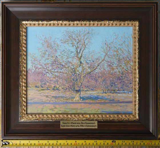 In early spring. Willow tree