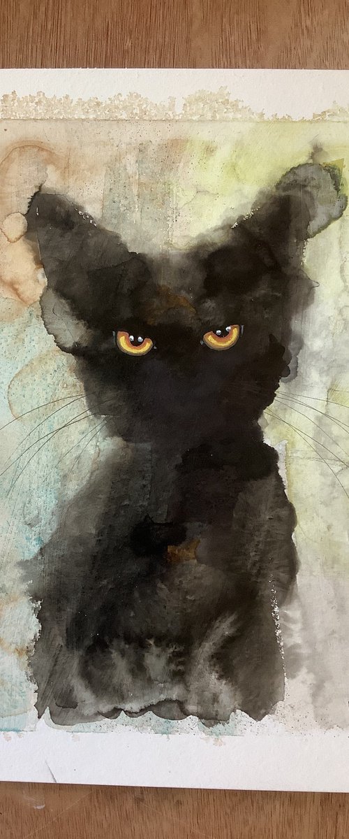 CHAT NOIR by Eva Fialka