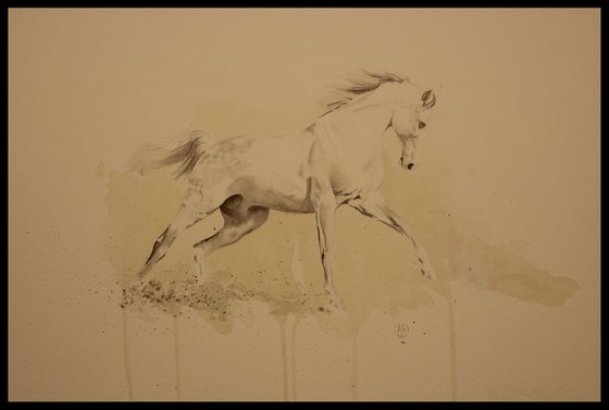 The movement of a Horse Study 4.1