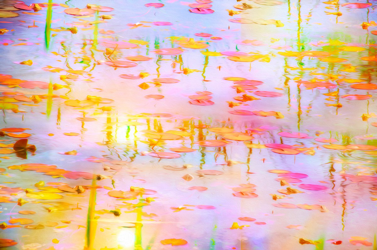 Abstract Waterlilies by Mary Mansey