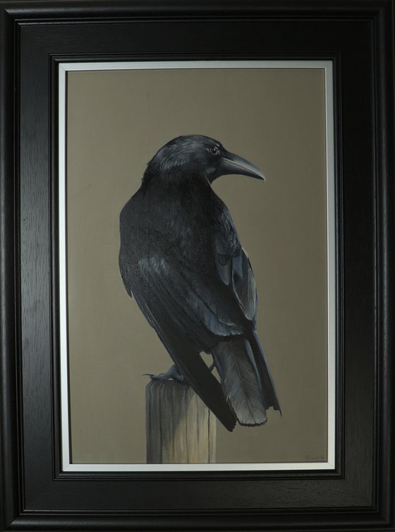 Crow, Portrait of a Black Crows, Oil Painting, Bird Artwork, Animal Art Original, Not Print