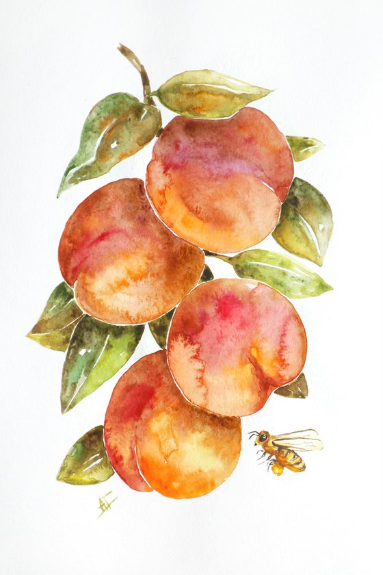 Watercolor peaches and bee illustration, fresh summer and green leaves