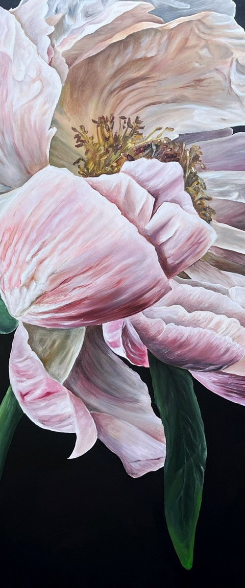 Peony before the fall by Valeriia Obertas