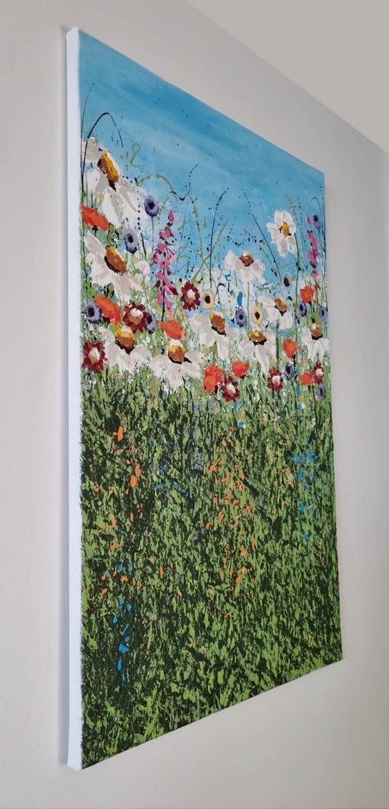 Wildflowers in Bloom