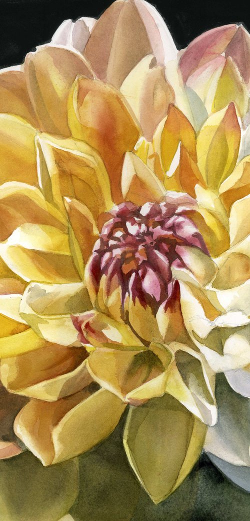 glorious dahlia, floal watercolor by Alfred  Ng