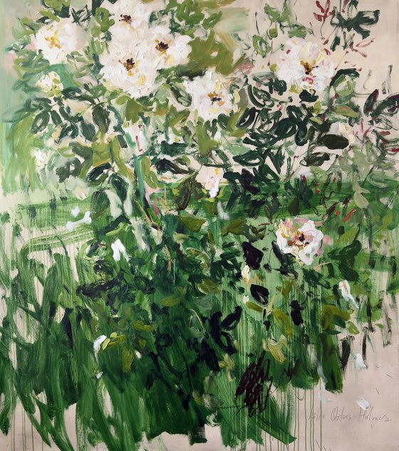 White roses.