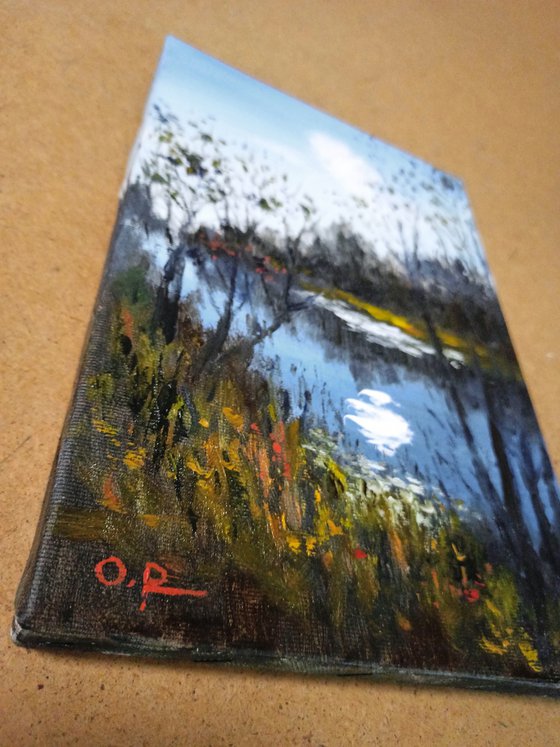 Impression. Autumn sun