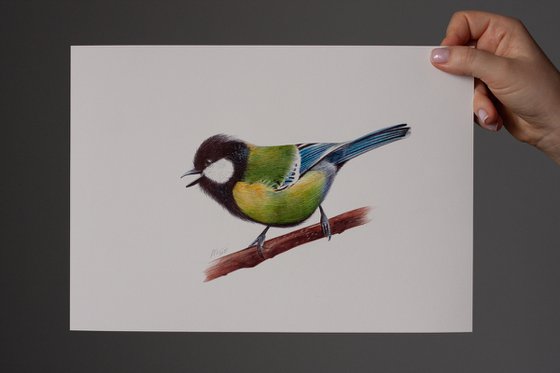 Green-backed tit