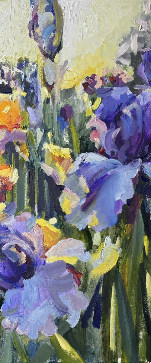 Beautiful irises are blooming in the garden by Olena Hromova