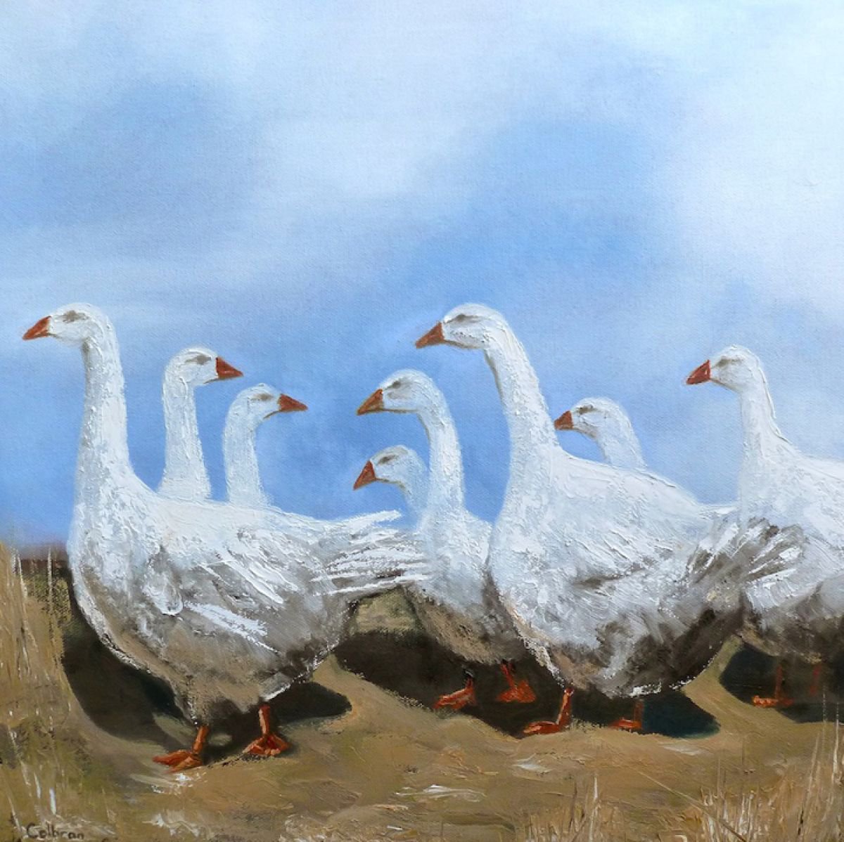 Eight Geese by Nicola Colbran
