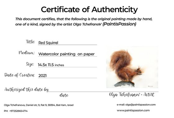 Red Squirrel