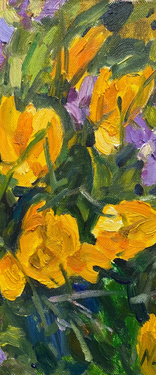 Crocuses by Nataliia Nosyk