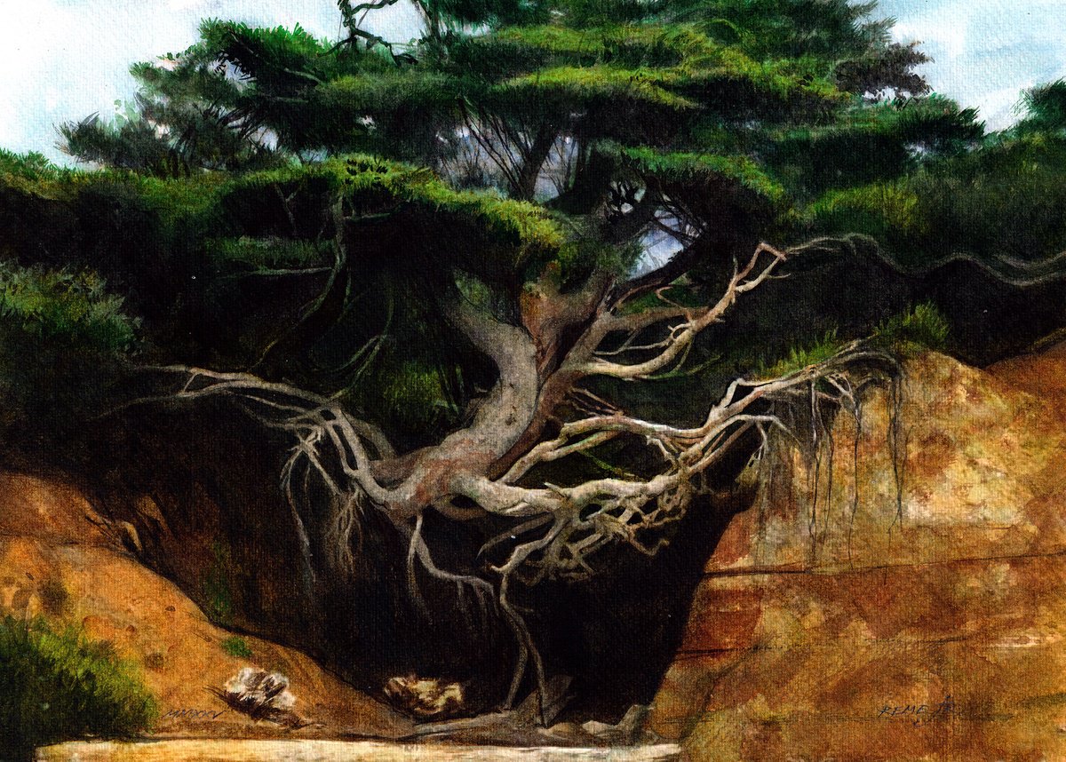 Photorealistic Landscape Watercolour By Reme Jr., 14 X 10", Vitosha Tree, Original Artwork