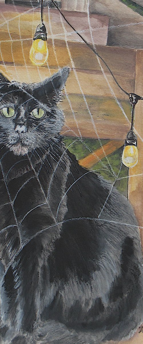 Black Cat Behind A Spider Web by Nina Elaine Thompson