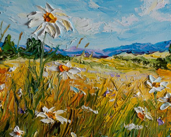 Fields of Light