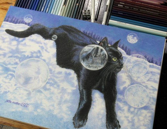 Black Cat Winter Portrait