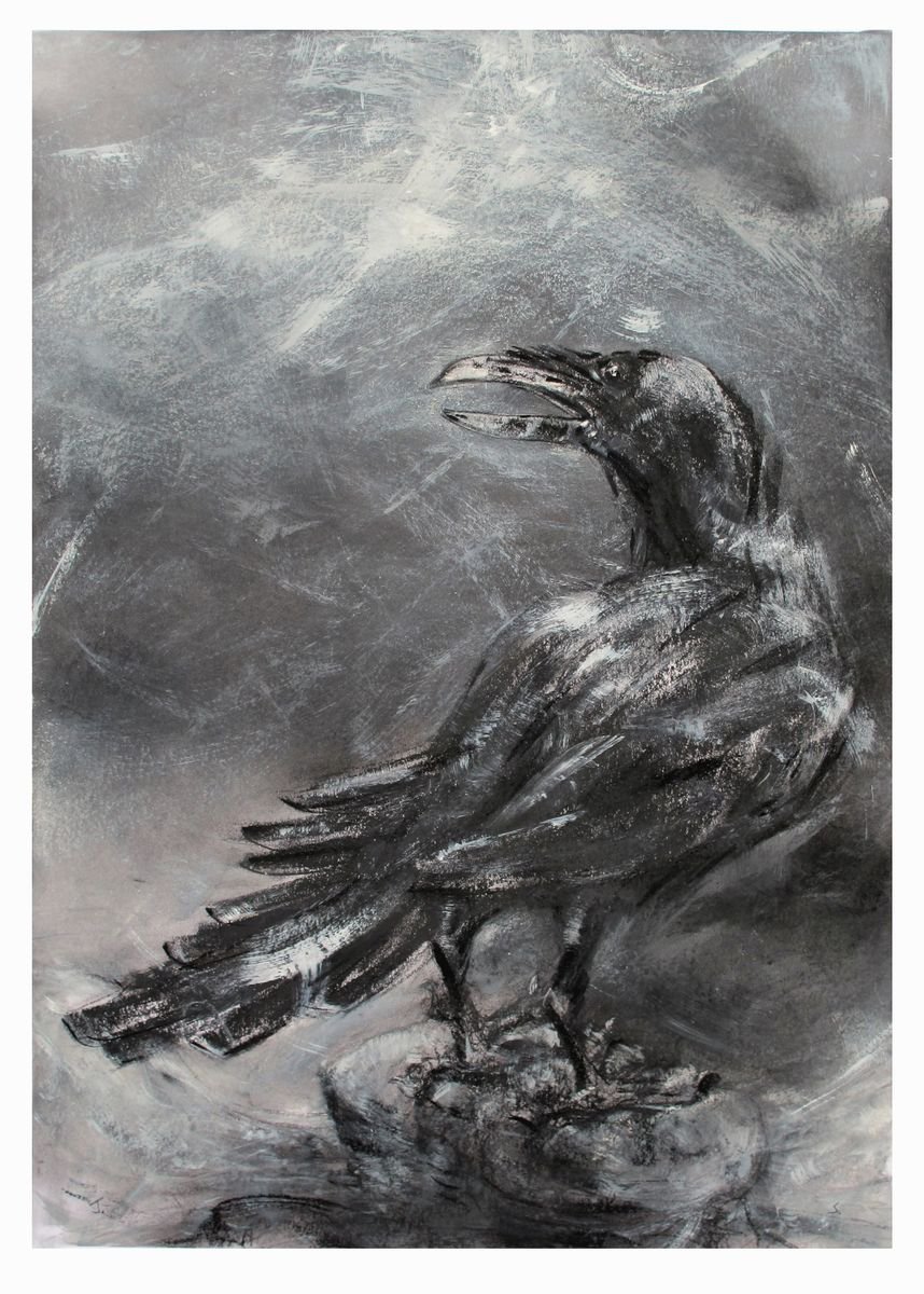 Impressionistic Animal Charcoal Drawing By John Sharp, 20 X 28, Raven, Longsleddale, Cumbria, Original Artwork