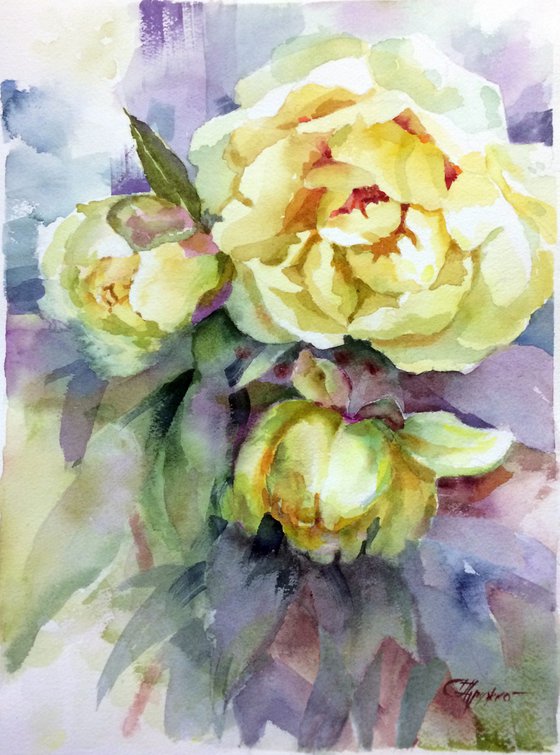 Yellow peonies #3