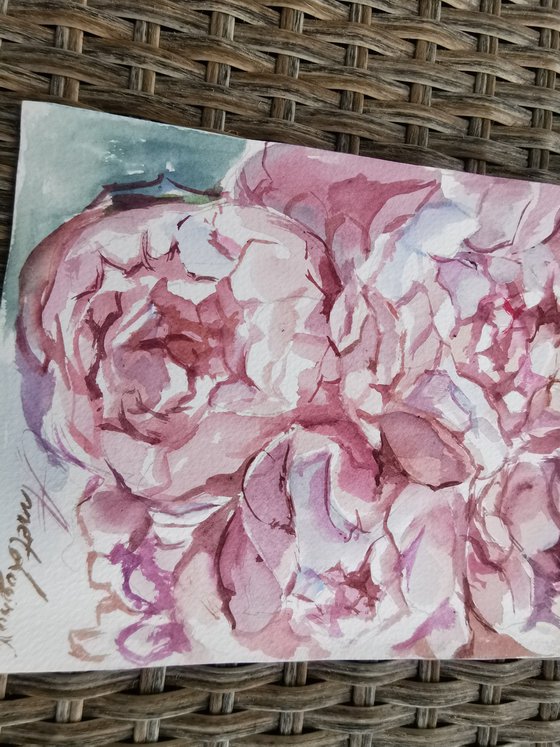 Peonies drawing on paper