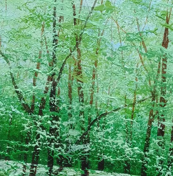 Forest Breathing