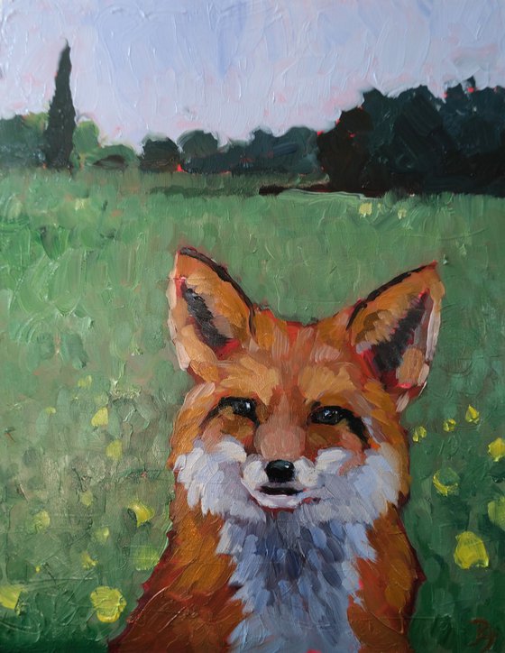 Fox study no 1