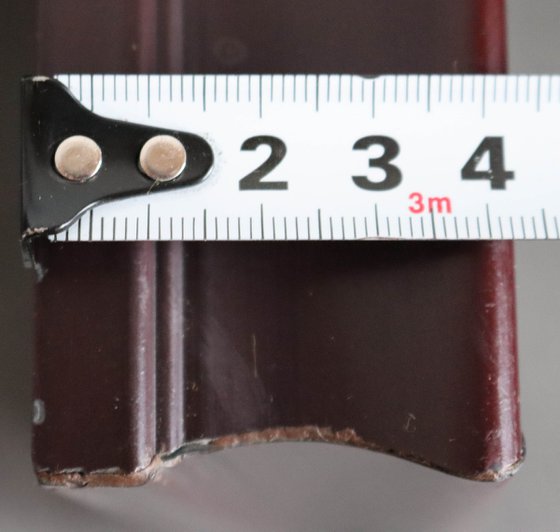 Self-portrait playing the gusli