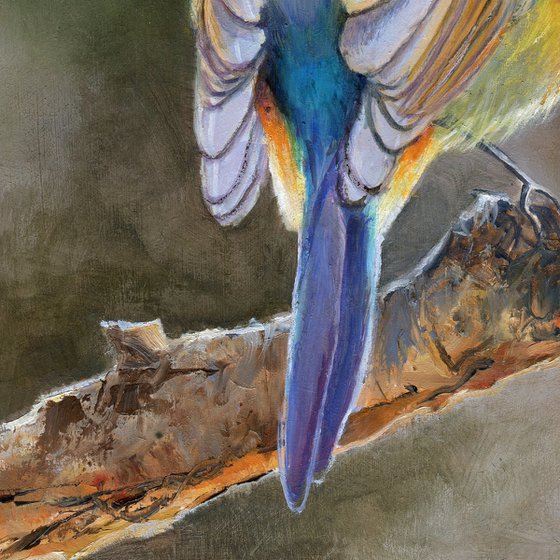 Cheerful bird back portrait