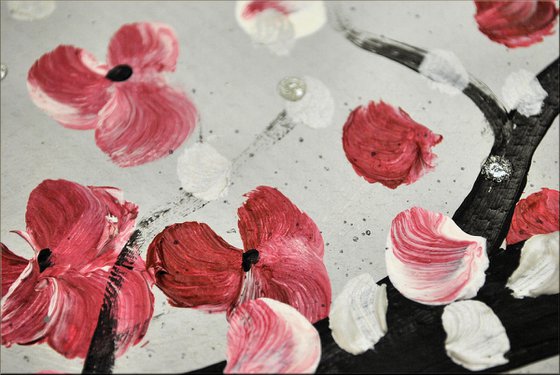 Cherry Blooming