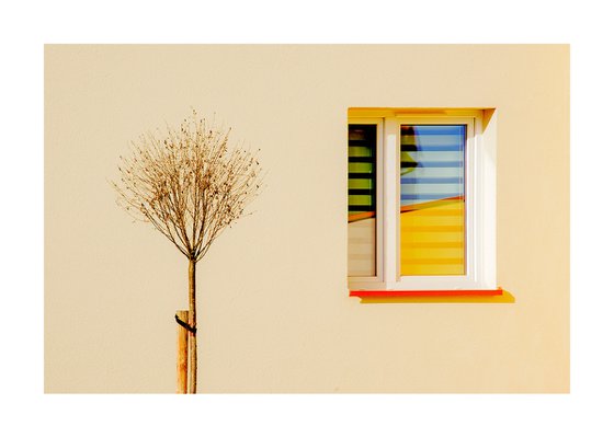 Wallscape 276