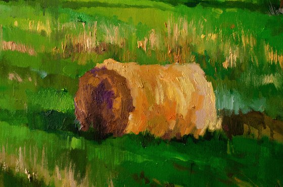 A Cat Among the Hay Bales