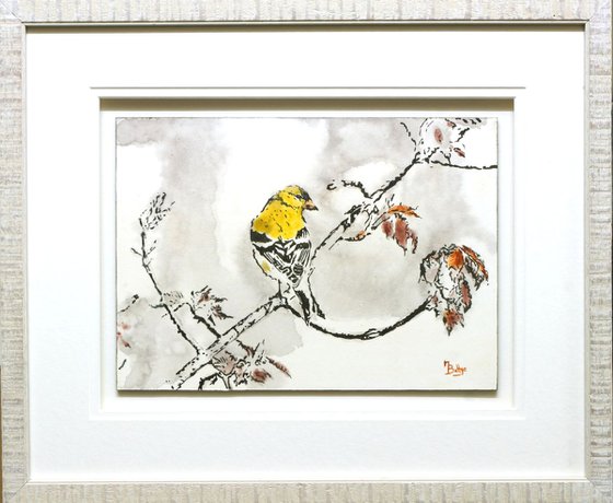 Finch - Framed - Ready To Hang - Acrylic Painting