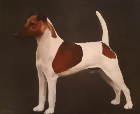 Jack Russel