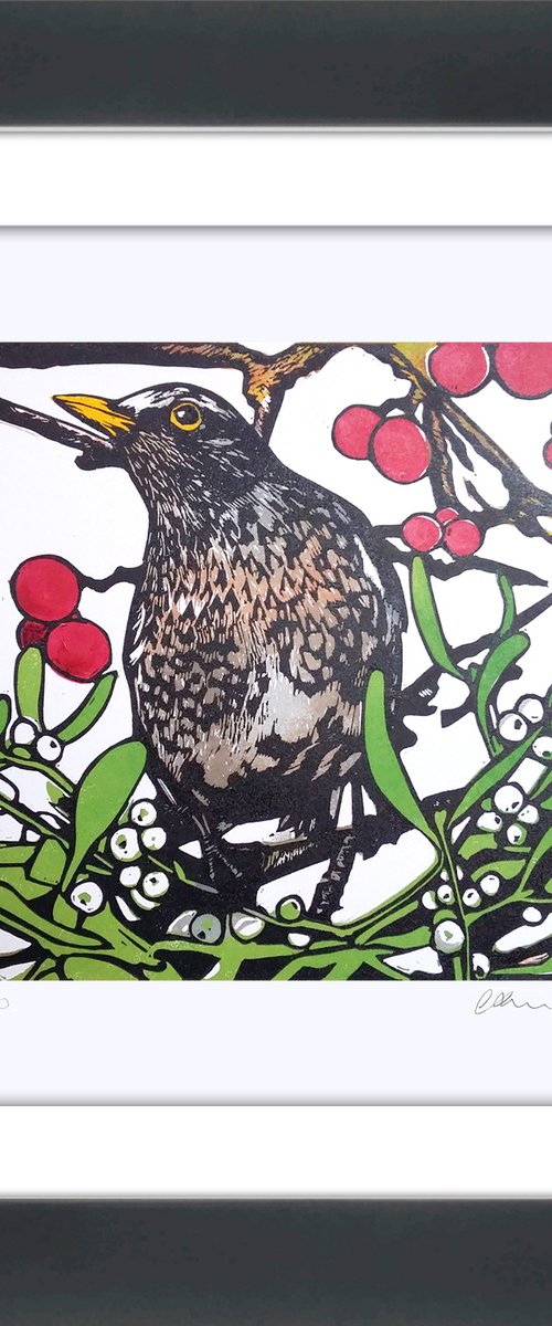 Redwing, red berries and mistletoe by Carolynne Coulson