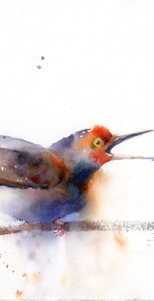 Watercolor Robin (10.5x8.5) by Olga Tchefranov (Shefranov)
