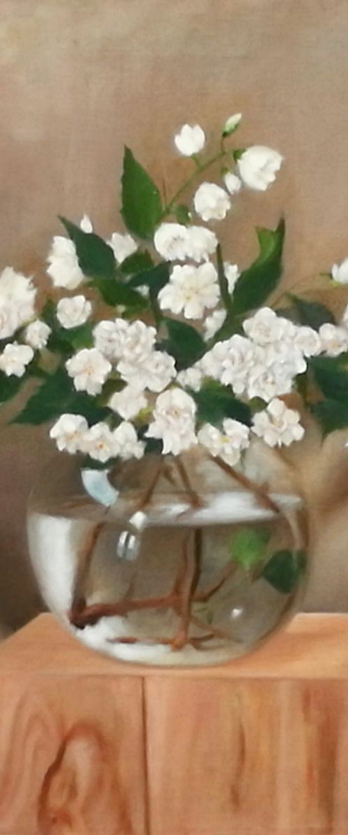 Jasmine by Daniela Roughsedge