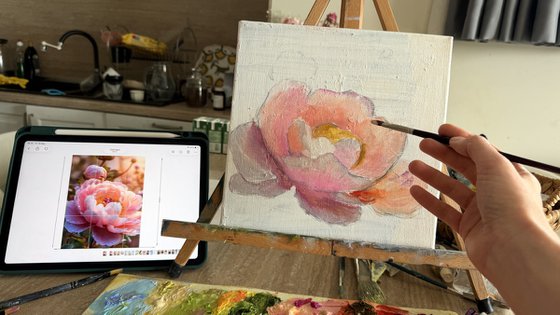 Blush Peony in Bloom