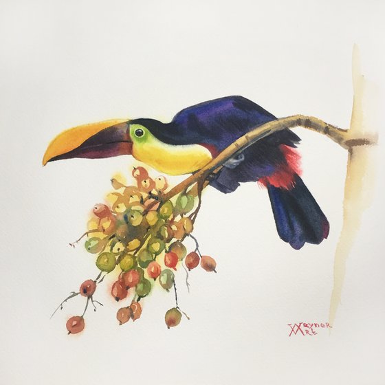 Toucan. Bright bird on tree painting. Watercolor bird.