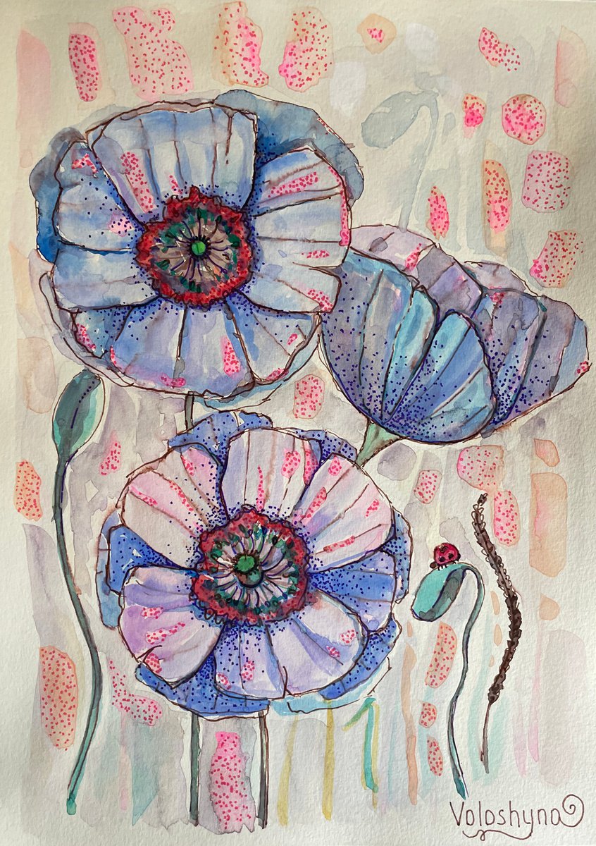 Blue poppies by Mary Voloshyna
