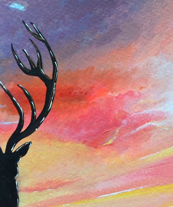 Sunset Stag