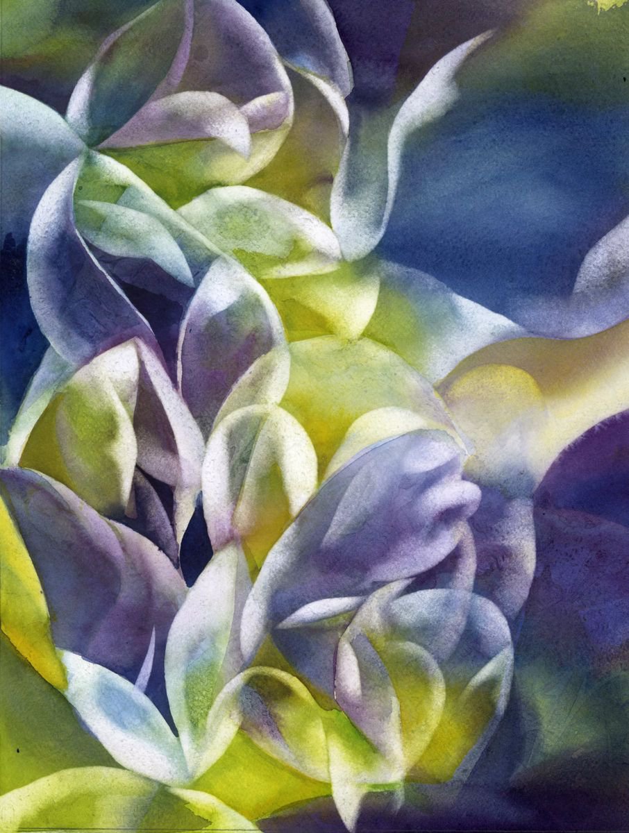 Abstract Botanical Watercolour By Alfred Ng, 13 X 17, Petals #2, Original Artwork