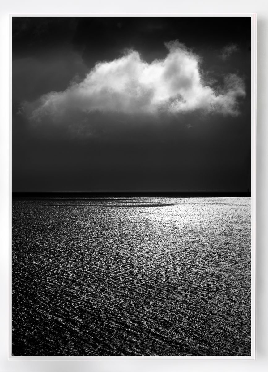 Solo - Black and White Photography on Canvas Photograph by Lynne ...