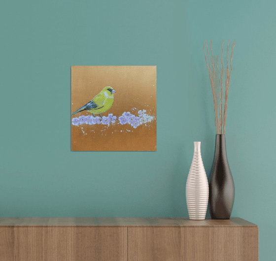 Greenfinch on cherry blossom